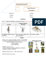 ORGANE VEGETATIVE ȘI GENERATIVE Cl.8