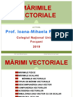 01.marimi Vectorialecod