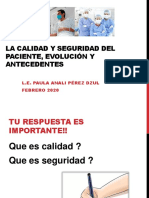 Tema 1 Calidad y Seguridad Del Paciente PDF