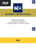 Ppt-Cirugia5-Cirugia Plastica y Quemados-Pr PDF