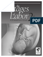 StagesofLabor2 PowerPointUserGuide