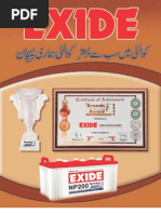 Exide Report 2010