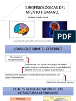 Bases Neurofisiológicas Del Movimiento Humano