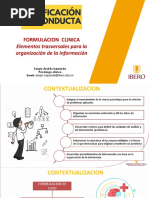 Presentacion de Formulacion Completa PDF