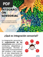 Integracion Sensorial XX