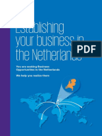 Establishing Your Business in The Netherlands