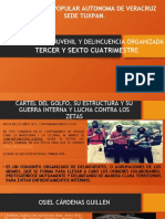 Responsabilidad Juvenil y Delincuencia Organizada