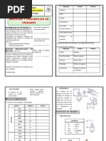 Ficha de Sistema Unidades