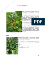 PLANTAS INDUSTRIALES, MEDICINALES ETC - Docx (Recuperado)