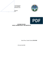 Informe Rocario PDF