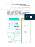 Desarrollo de Preguntas Generadoras