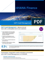 Credit Management Detailed PDF