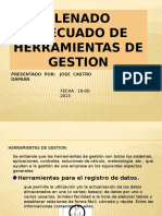 Llenado Adecuado de Herramientas de Gestion