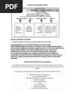 Tipos de Justificacion en Wor1