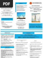 Trifolio - Diseño de Lìneas de Transmision Hasta 500 KV