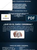 Daño Cerebrl y Plasticidad Neuronal