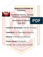 Estabilidad y Duración de La Relación Del Trabajo - DERECHO DEL TRABAJO