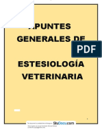 Apuntes Generales de Estesiologia Veterinaria