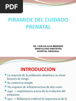 La Pirámide Del Cuidado Prenatal 2