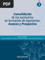 Consolidación de Los Escenarios de Formación de Ingenierías: Avances y Prospectiva T3