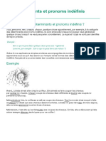 Les Déterminants Et Pronoms Indéfinis Français