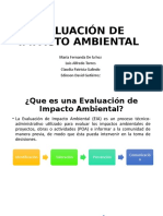 Evaluación de Impacto Ambiental