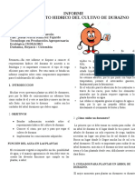 Informe Requerimiento Hidrico Durazno