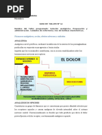 Terapia Del Dolor - Guia Desarrollada