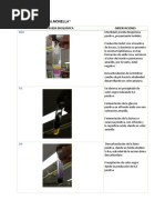 Bacteria Resultado 6