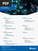 SAP ERP para Gestion de Recursos Empresariales