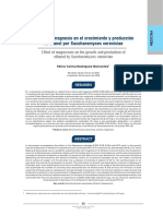 Efecto Del Magnesio en El Crecimiento y Producción de Etanol Por Saccharomyces Cerevisiae