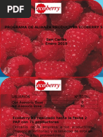 Lineamientos PAP Ecoberry 23-10-2019