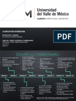 Linea de Tiempo Desarrollo Embrionario PDF