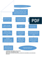 Diagrama de Flujo Desposte Carne