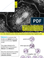 3.3. Meiosis PDF