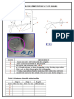 Nozzle Segment Indication Zones: A B C B D D E F