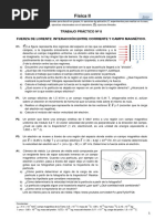 P8. - Fuerza Magnetica-2020