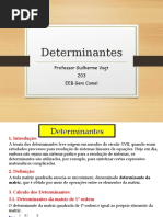 Determinantes - Matrizes 20.04