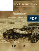 Yarará, Yarará Chica - Bothrops Diporus