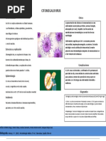 CITOMEGALOVIRUS