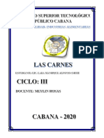 Las Carnes PDF