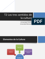 T2 Los Tres Sentidos de La Cultura PDF