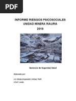 Informe Riesgos Psicosociales Unidad Raura - Compañia