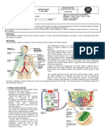 7 - 2 - T - 2 - WK - Lymphatic System