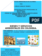 Bienes y Servicios