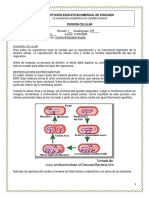 DIVISIÓN CELULAR C. Nat 9° Taller y Eval PDF