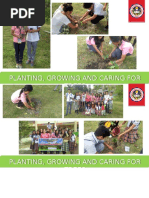 Planting, Growing and Caring For Trees