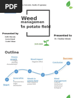 Weed Management in Potato Field