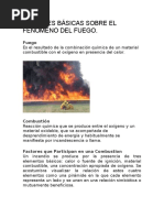 Nociones Básicas Sobre El Fenómeno Del Fuego 1