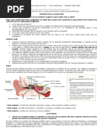 GUIA DE Audicion y Gusto